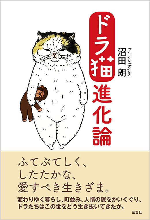 ドラ猫進化論 沼田朗